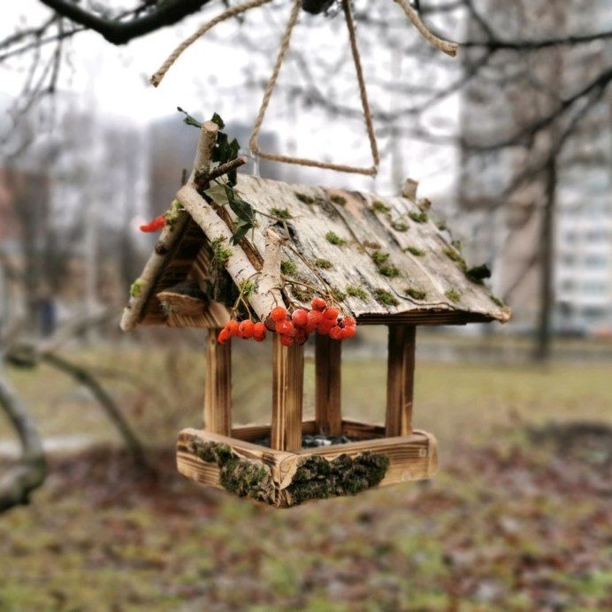Оригинальные кормушки для птиц