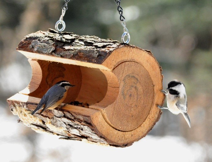 Кормушка для птиц