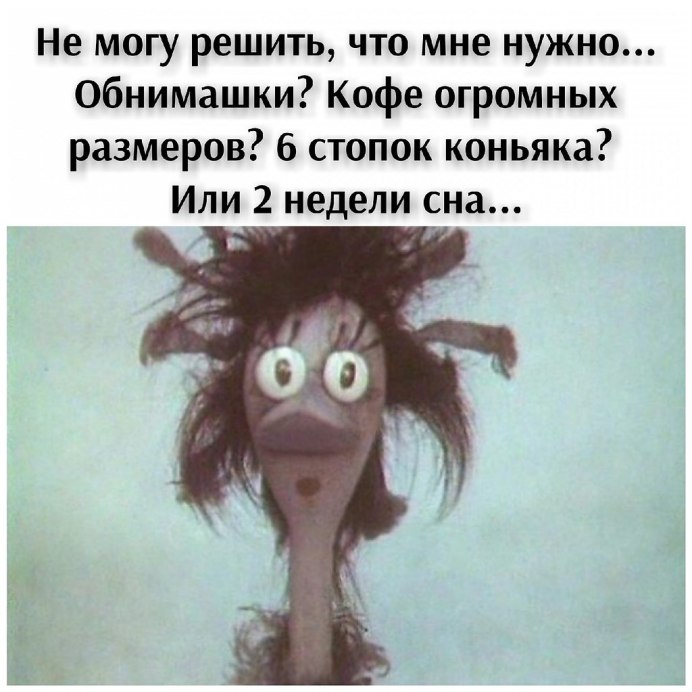 Влюбчивая ворона мультфильм 1988