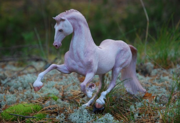 Королевская белая лошадь