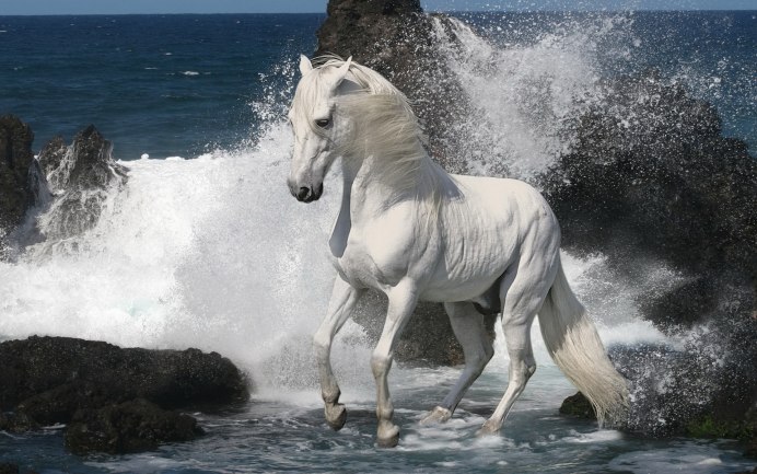 Буланый Орловский рысак