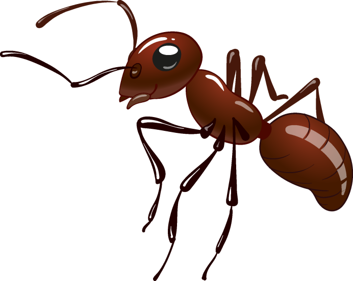 Домашние муравьи черные