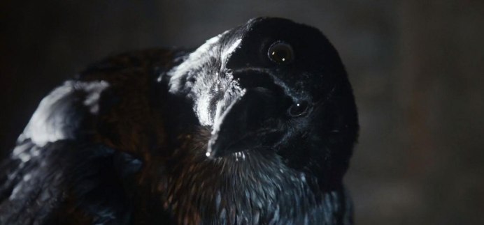 Ворон на Красном фоне