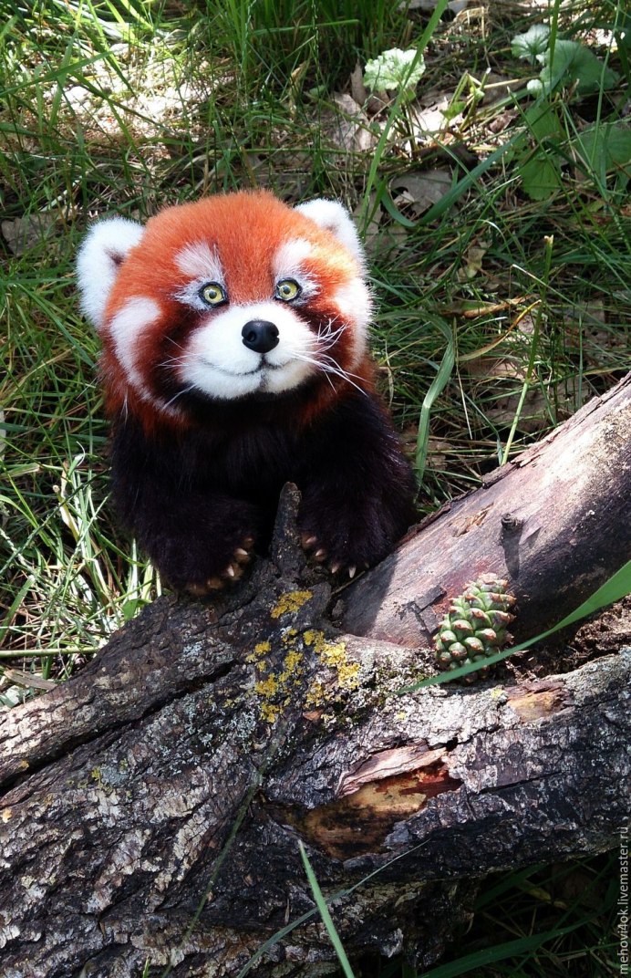 Красная китайская Панда