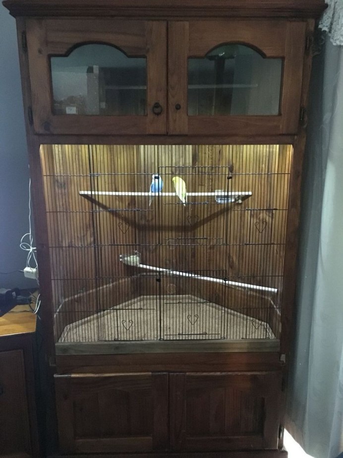FOP Greta клетка