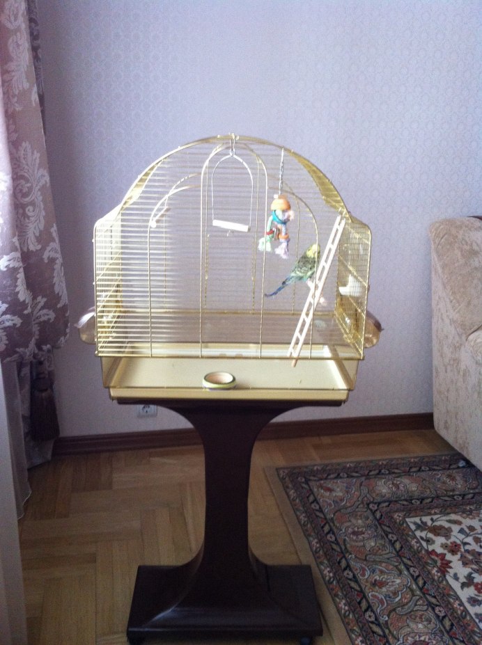 Полка для попугаев