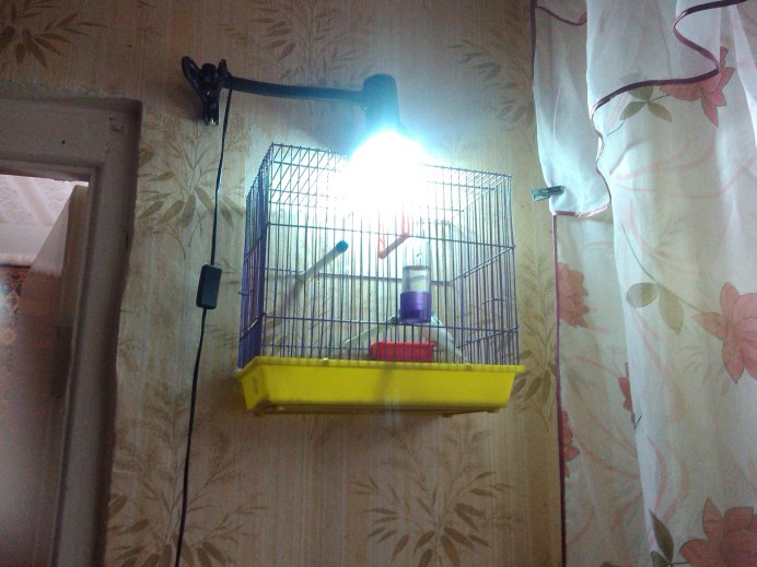 Кормушка IMAC Parrot