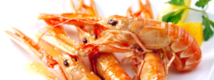 Атиопсис креветка-фильтратор