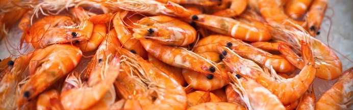 Личинки креветок черри