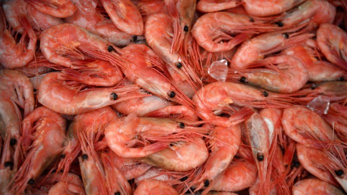 Креветка текстура