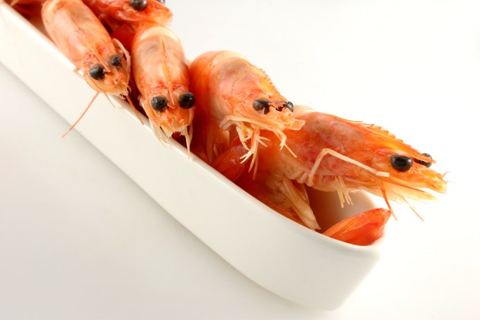 Седло у креветки вишни