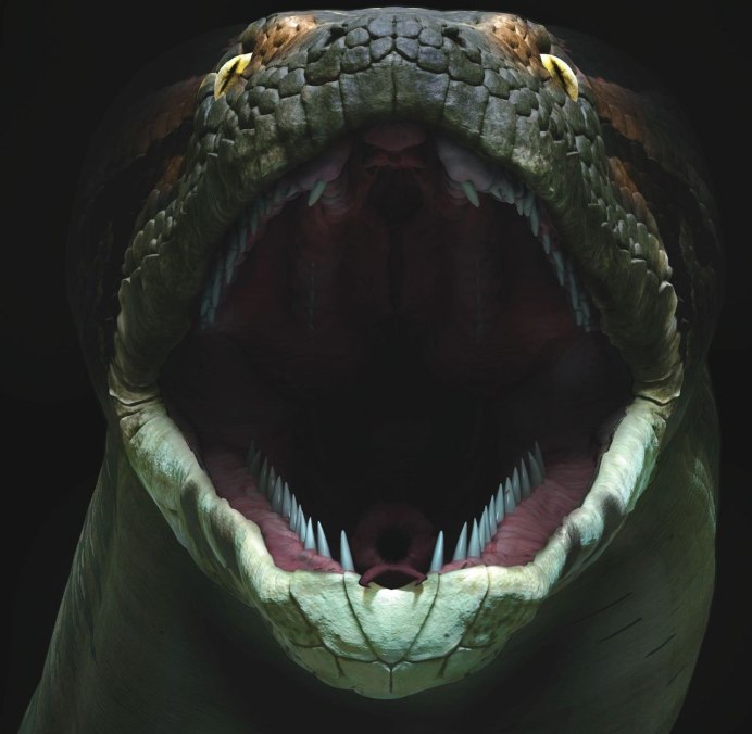 Tetrapodophis amplectus