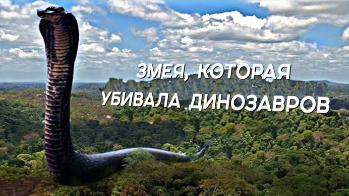 Тетраподофис змея