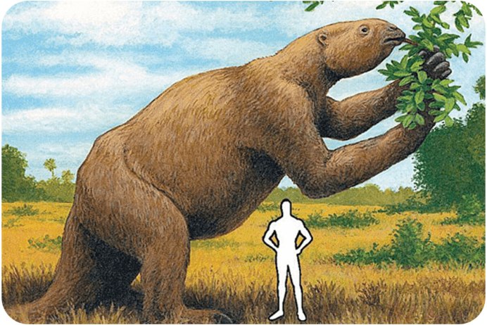 Кротовья Нора