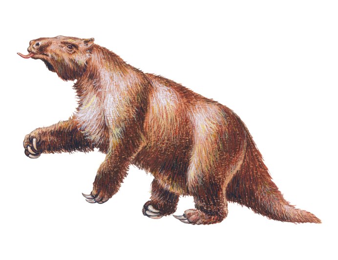 Медведь добывает мед