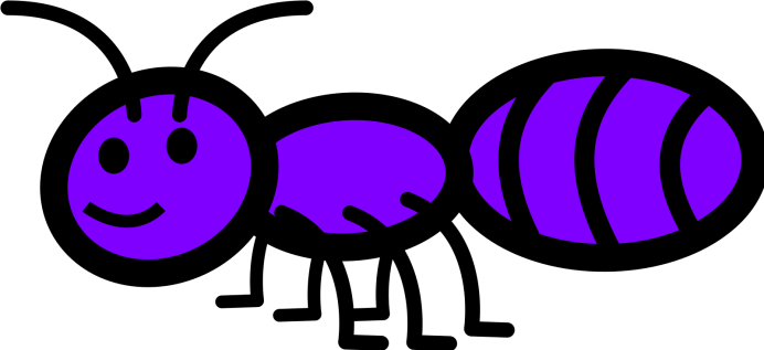 Муравей Rhytidoponera aspersa