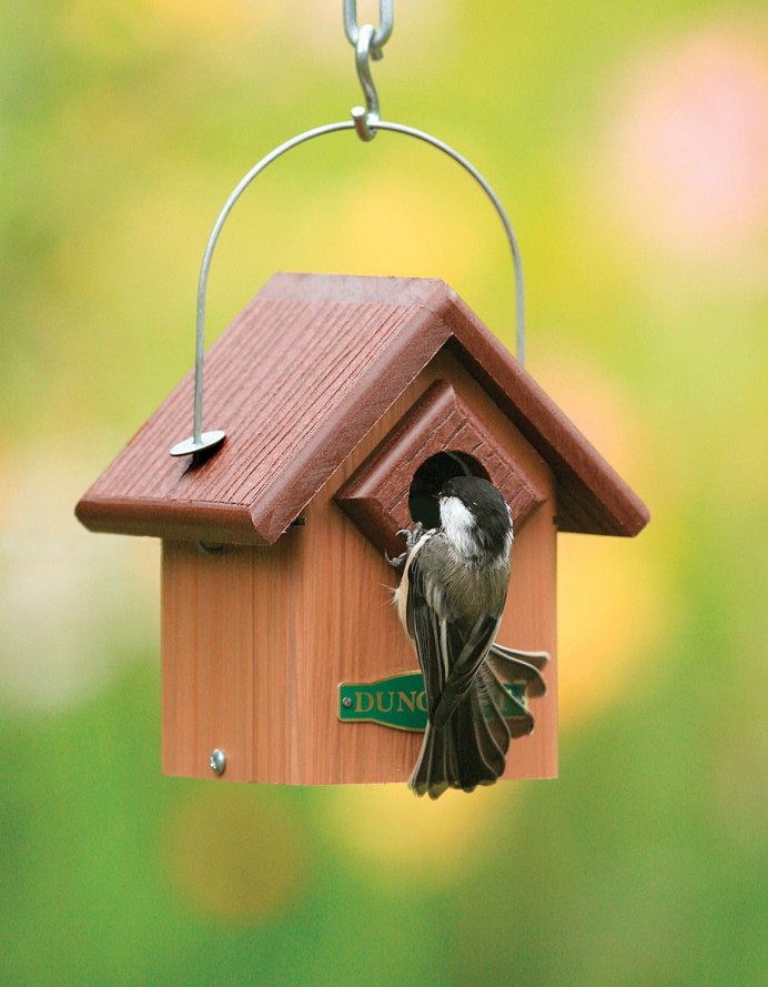 Воробьев дом