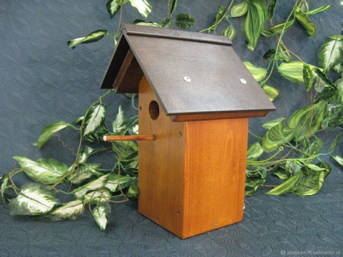 Воробей в доме