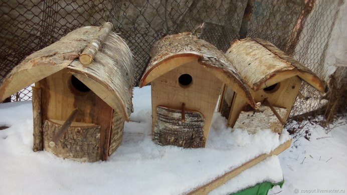 Мухоловник скворечник