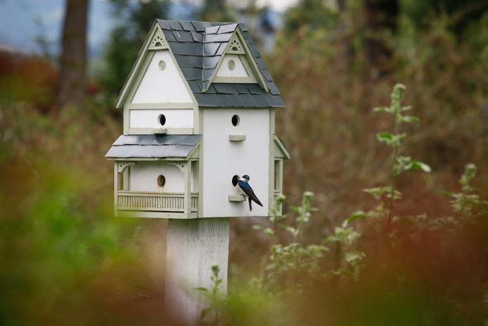 Многоквартирный домик для птиц