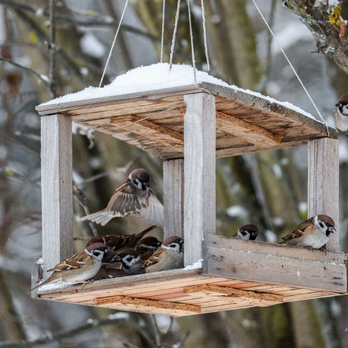 Скворечник на окно