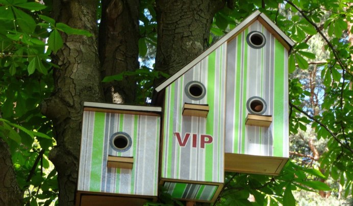 Скворечник для удода