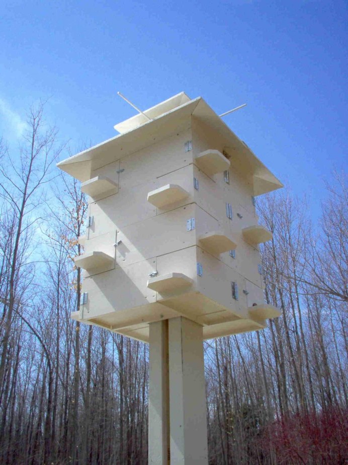 Скворечник в детский сад