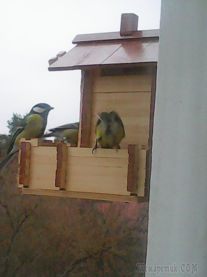 Домик для Воробьев