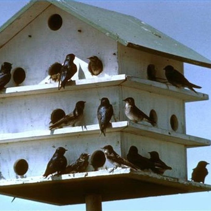 Домик для Воробьев