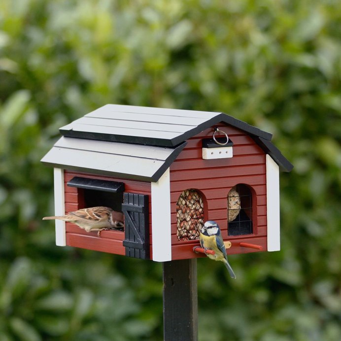 Воробей в скворечнике