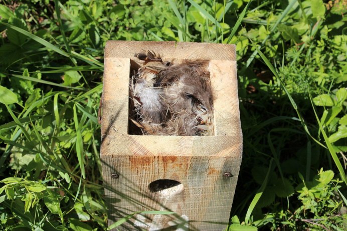 Скворечник для Воробьев