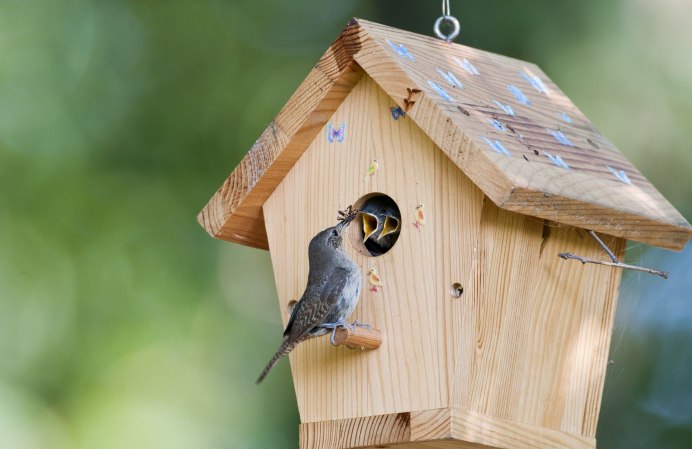 Домик для синичек