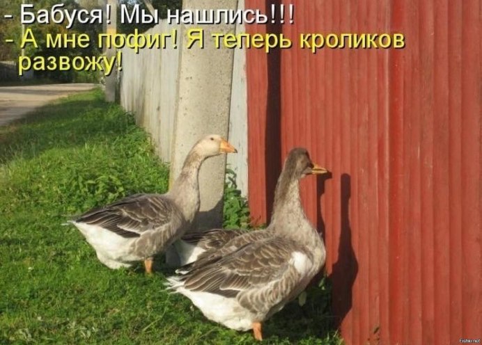 Гусь Фламинго
