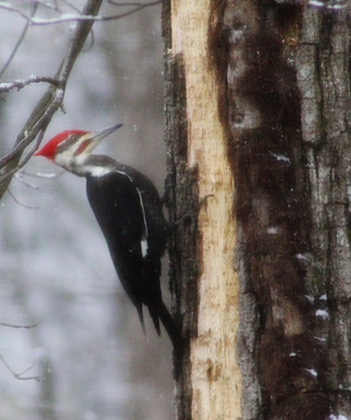 Сломанный перфоратор