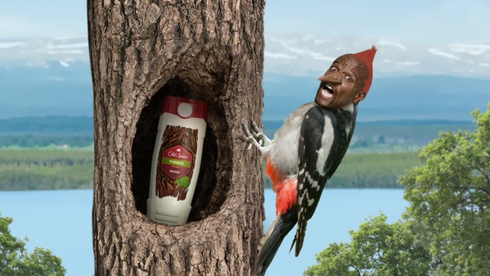 Дятел смешной