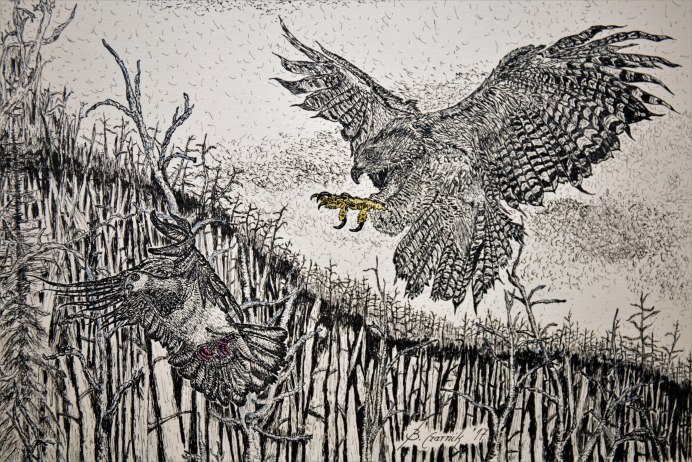 Басня Соловей и ястреб