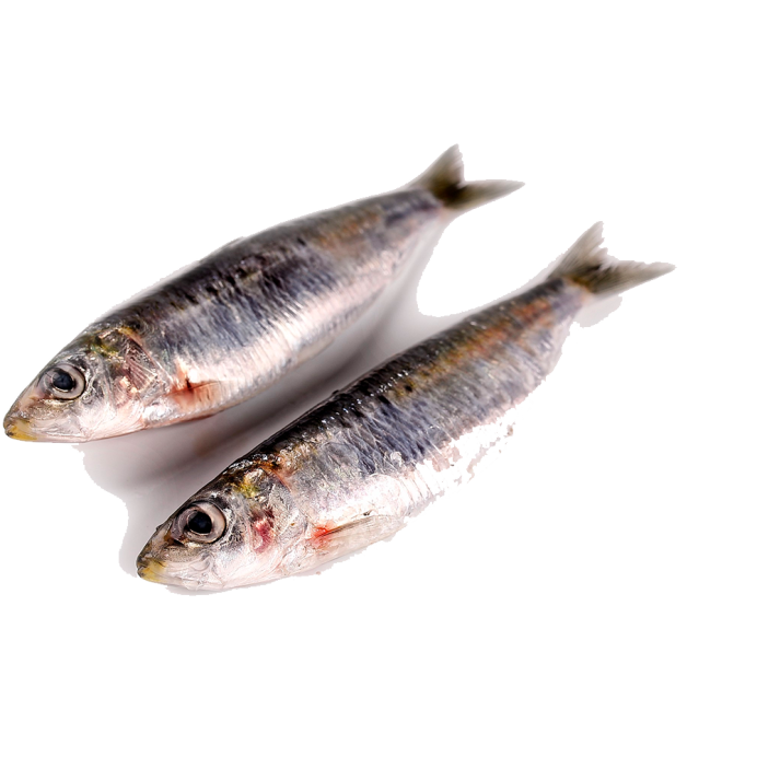 Сардины национальные блюда