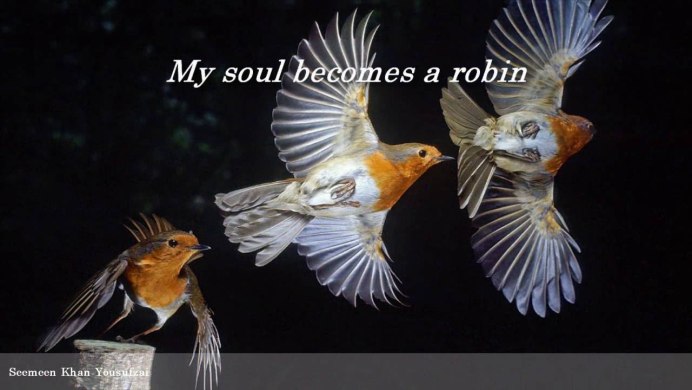 Птицы в движении