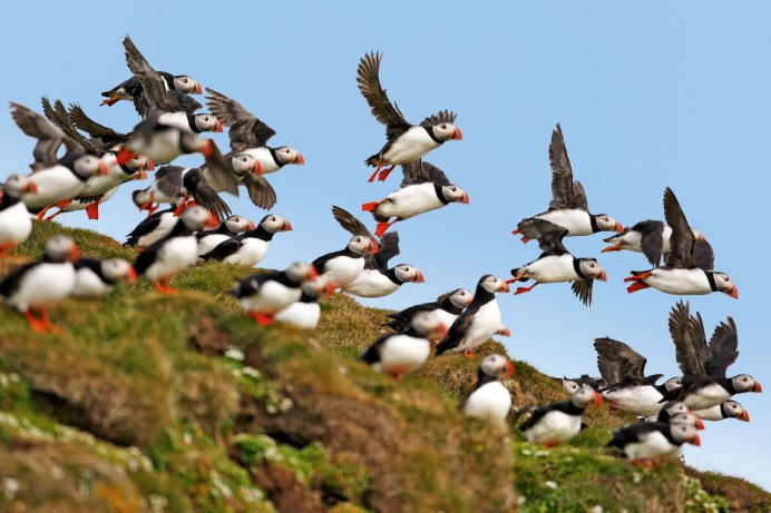 Птичка на пальце