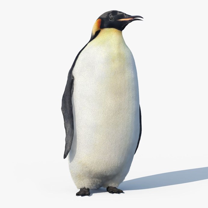 Пингвин 3d модель