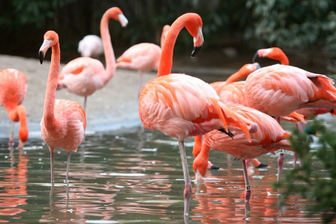 Dating site in Nakuru
