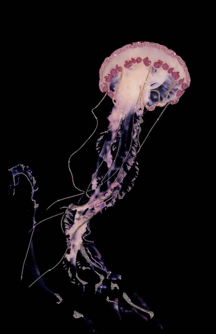 Richard Satava Jellyfish искусство из смолы