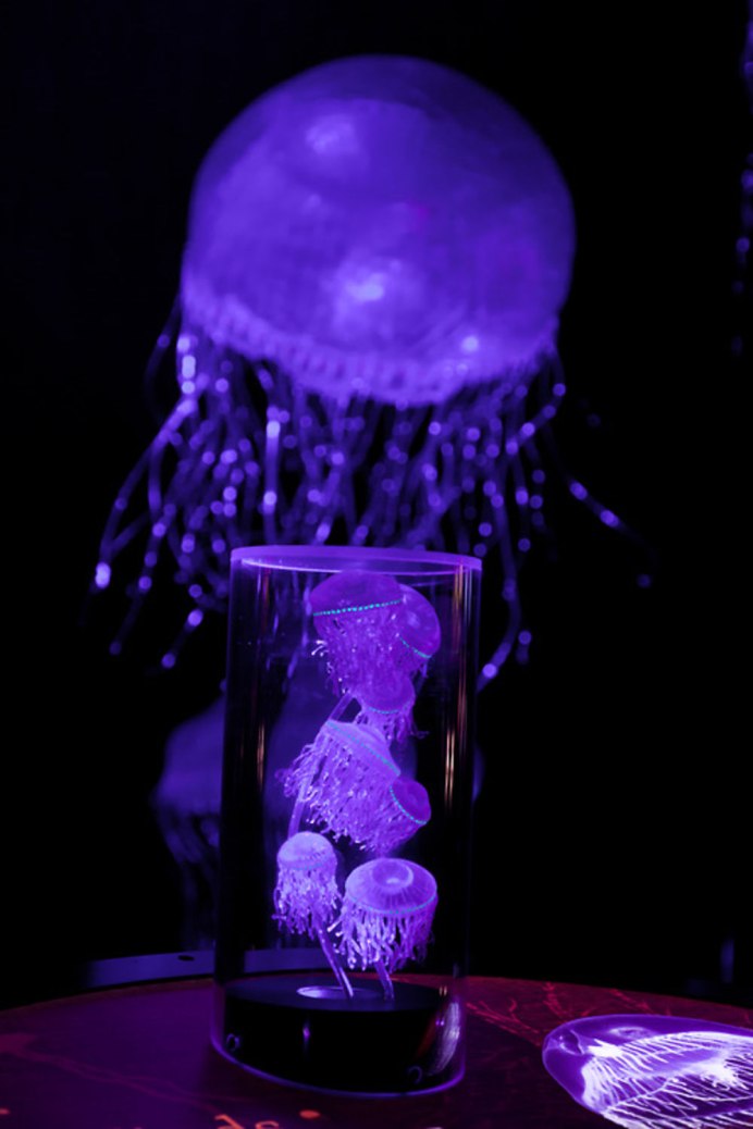 Генно инженерные медузы съедобные