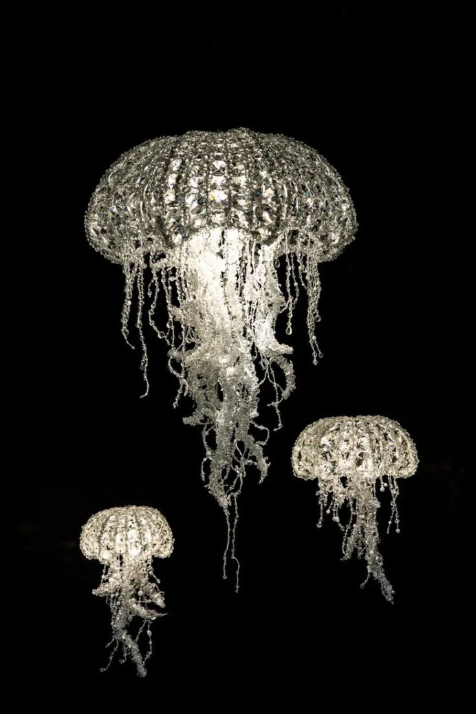 Медузы Aequorea