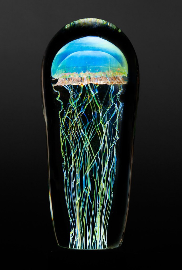 . Медуза Aequorea Aequorea (a. Victoria)