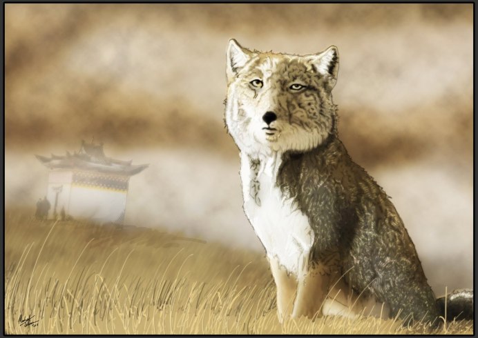 Canis lepophagus