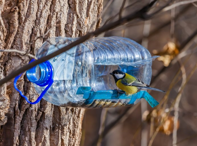 Сделать птицу из пластиковых бутылок (62 фото)