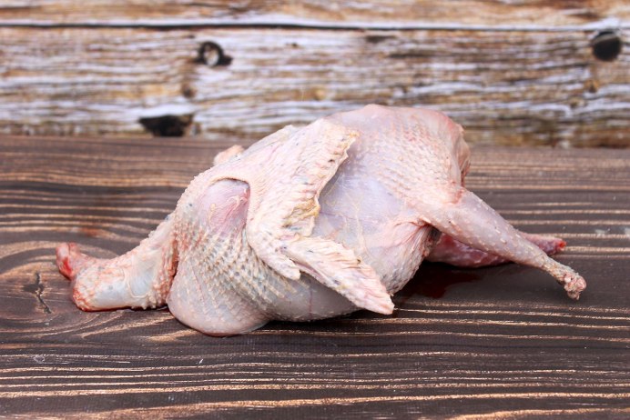 Полярная куропатка