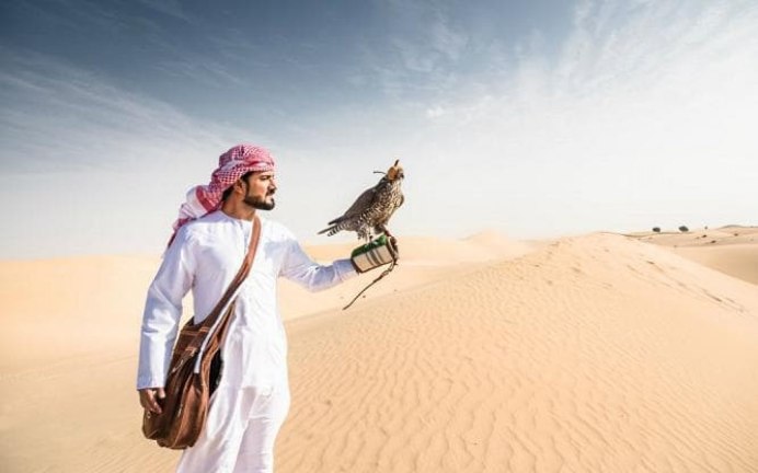 Соколиная охота арабы