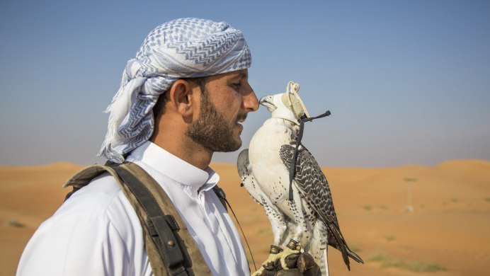 Соколиная охота в ОАЭ
